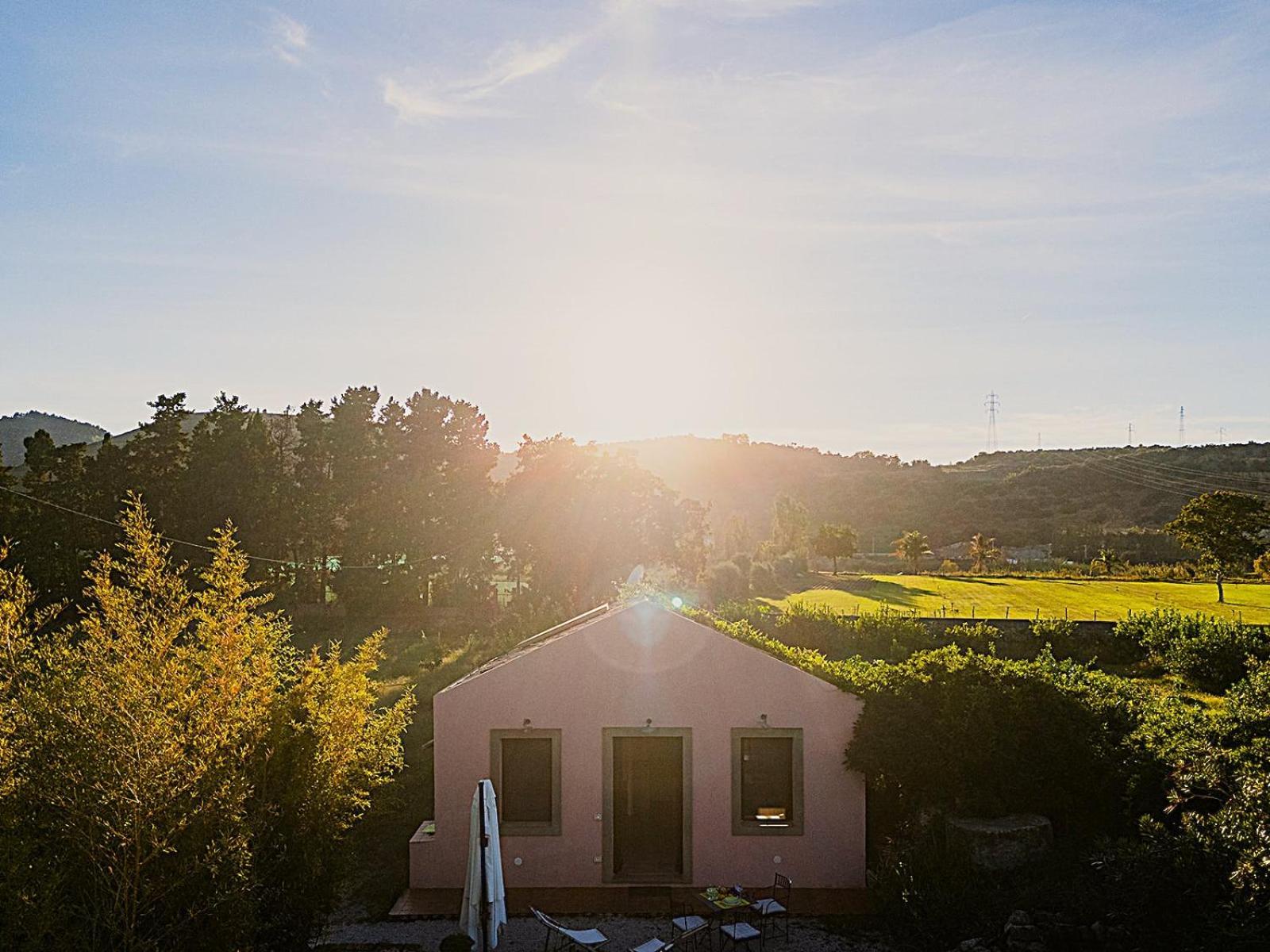 Bioagriturismo Antica Sena Milici Exterior foto