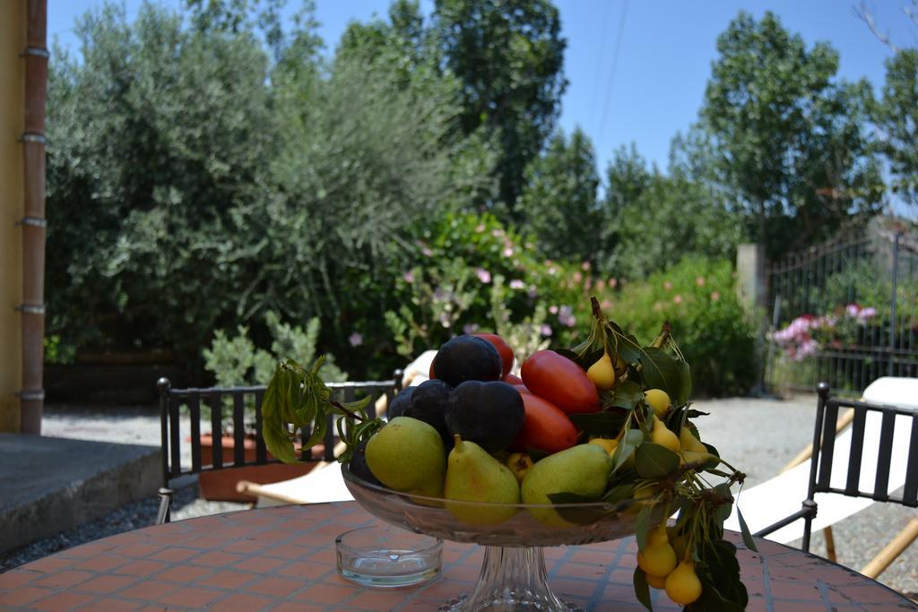Bioagriturismo Antica Sena Milici Exterior foto